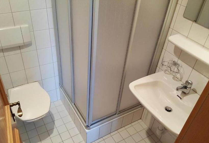 Апартаменты 1 Спальня, Gasthof Hotel Ifenblick