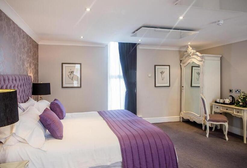 Номер Deluxe, Maesmawr Hall