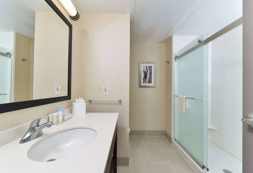اتاق استاندارد با تخت دوبل, Hampton Inn & Suites Des Moines Downtown