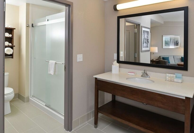 استودیوی استاندارد با تخت دوبل, Hampton Inn & Suites Des Moines Downtown