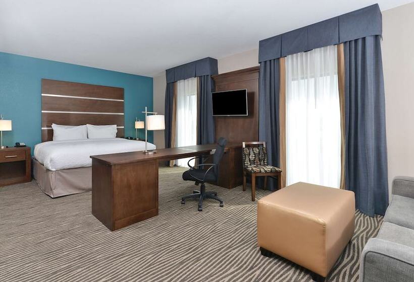 استودیوی استاندارد با تخت دوبل, Hampton Inn & Suites Des Moines Downtown
