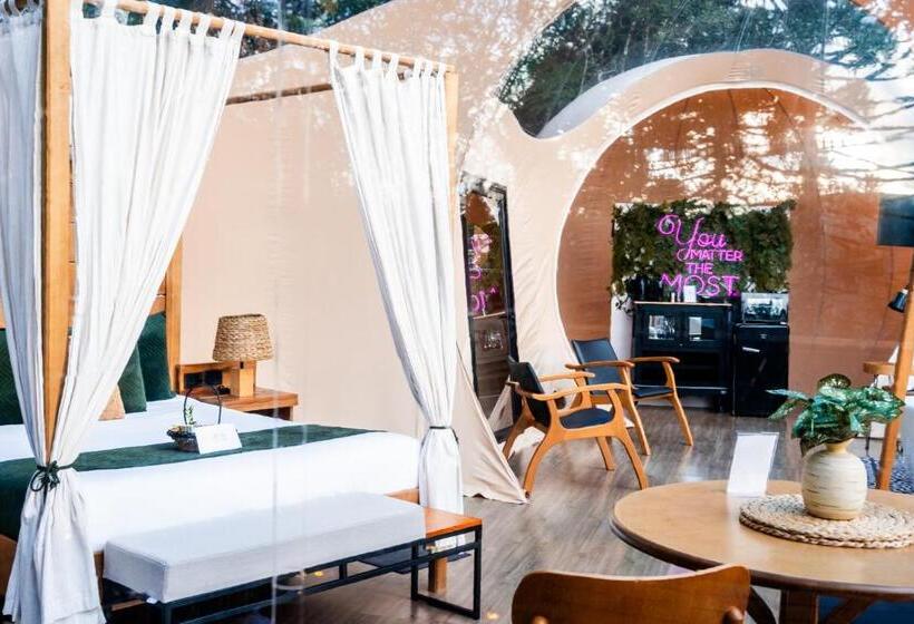Люкс Повышенной Комфортности, Zion Bubble Glamping