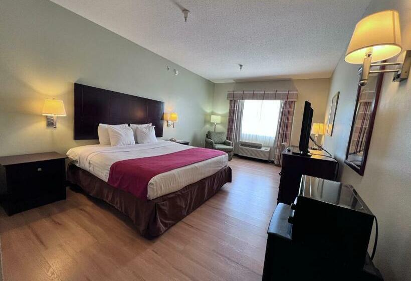 스탠다드 룸 킹사이즈 침대, Americas Best Value Inn Wiggins