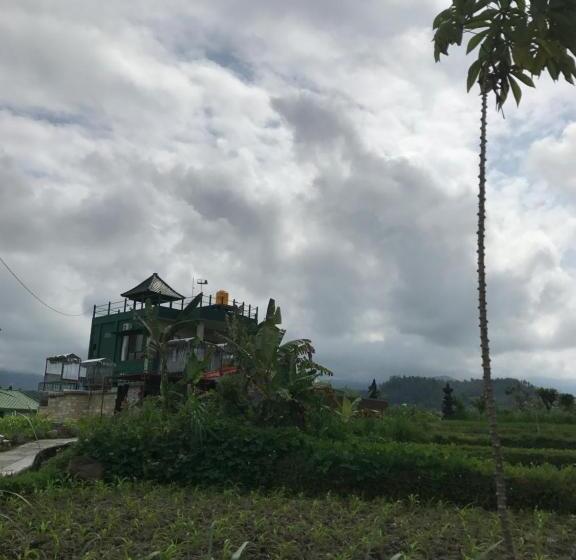 Вилла с 1 спальней и бассейном, Gumibali Villa
