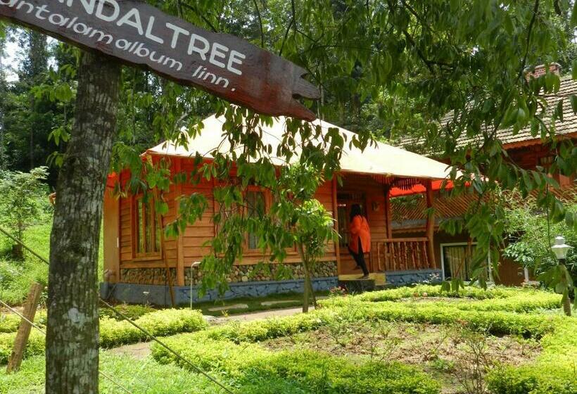 Family Suite, Pugmarks Jungle Lodge