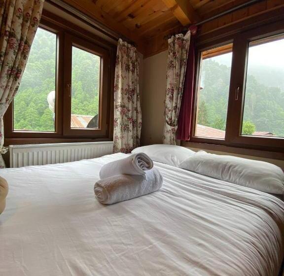 اتاق استاندارد, Ayder Paradise Otel