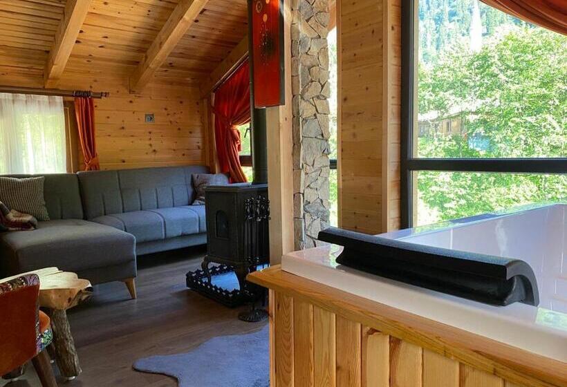 اتاق سوپریور, Ayder Paradise Otel