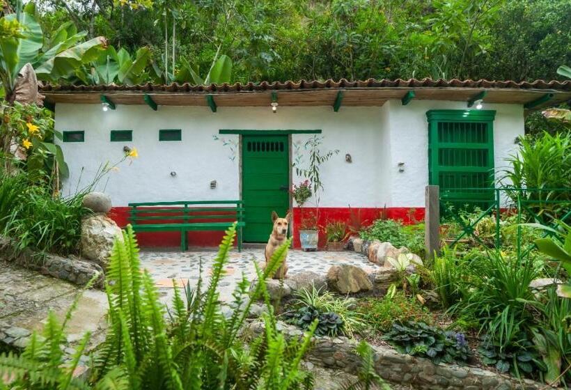 스탠다드 룸, Finca Los Abuelos   La Planta