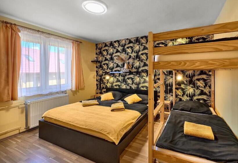 آپارتمان 1 خوابه, Penzion V Roklich & Apartmens V Roklich