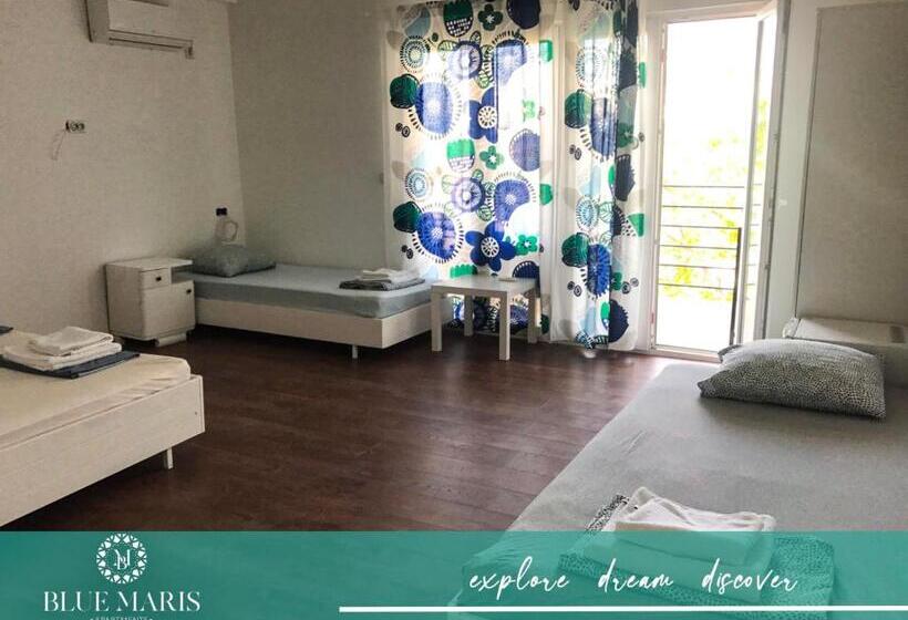 استودیوی استاندارد با چشم‌انداز دریا, Blue Maris