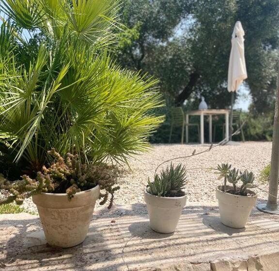 استودیوی لوکس, Casa Della Scrittrice