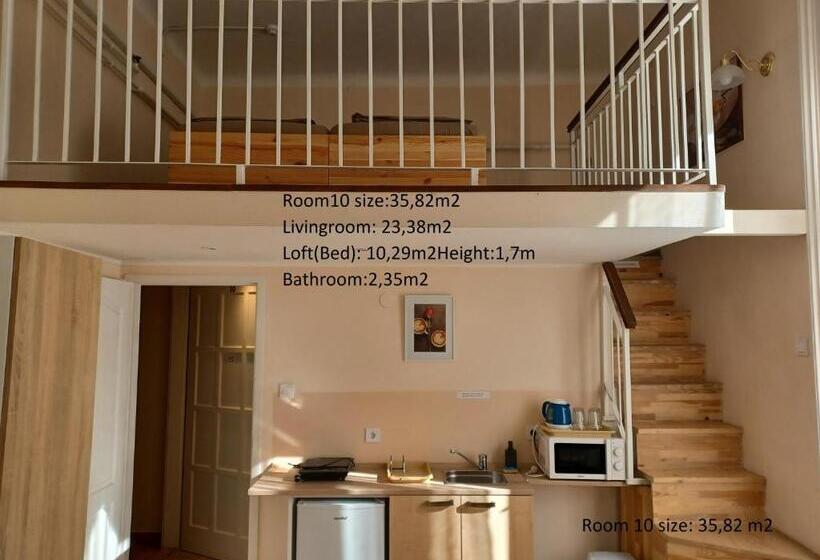 带城市景观的标准间, Loft House Budapest