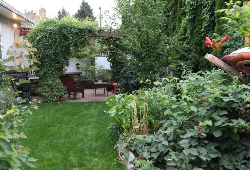 اتاق استاندارد, Sunshine And Wine Loft