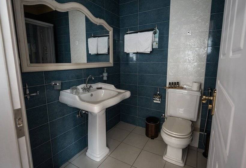 اتاق سوپریور, Boutique Hotel Anagennisis