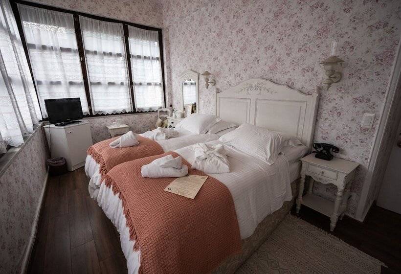 اتاق سوپریور, Boutique Hotel Anagennisis