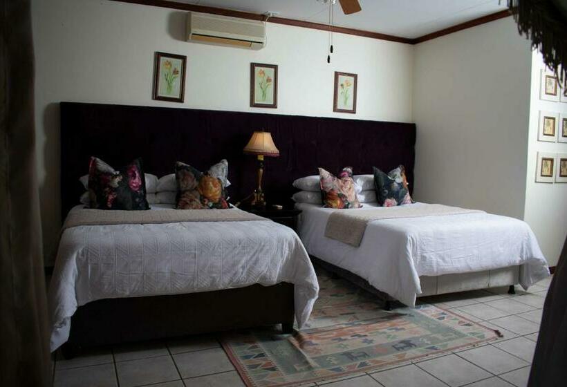 Номер Стандарт, Tengo Guest House