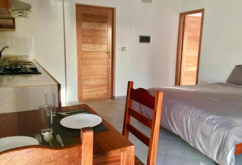استودیوی استاندارد, Surfzone Beachside Apartments