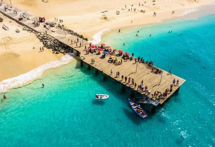 آپارتمان 1 خوابه با چشم‌انداز دریا, Surfzone Beachside Apartments