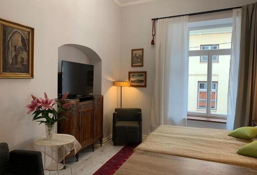 استودیو استاندارد با تخت کینگ, Nb Apartments Riga Old Town