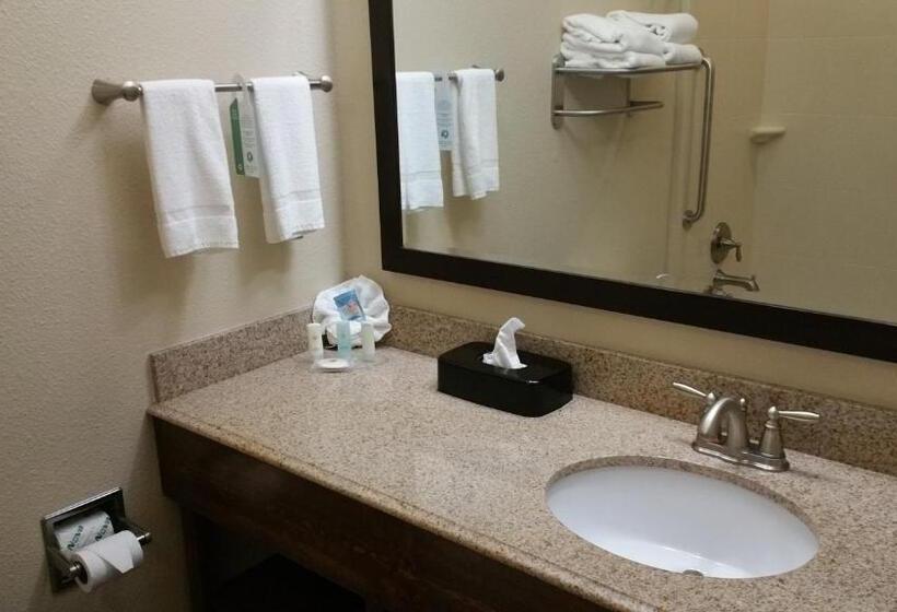 Люкс Кровать Кинг, Comfort Inn & Suites Lakeside