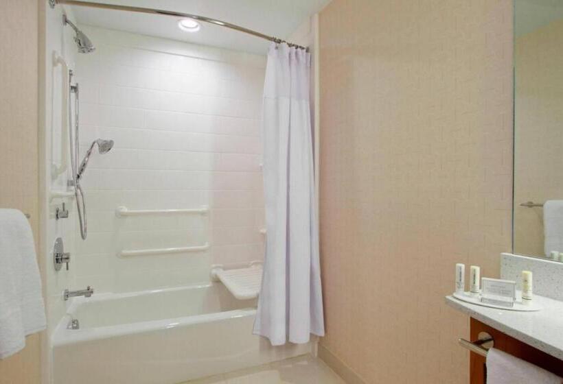 סטודיו סטנדרט, מיטה זוגית, Springhill Suites By Marriott Houston I 45 North