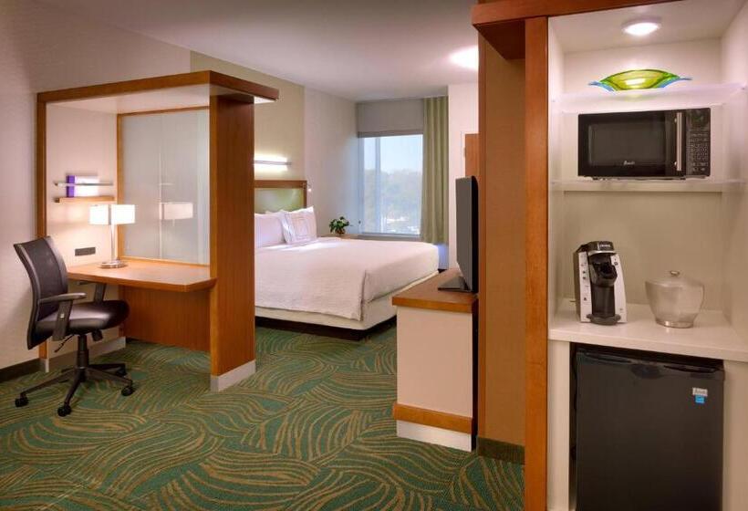 סטודיו סטנדרט, מיטה זוגית, Springhill Suites By Marriott Houston I 45 North