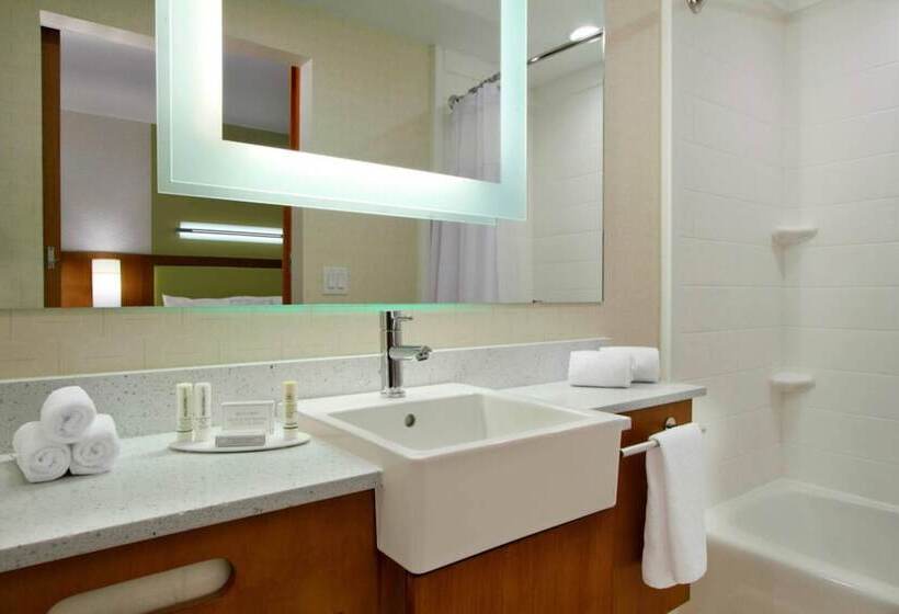 חדר סטודיו סטנדרד, Springhill Suites By Marriott Houston I 45 North