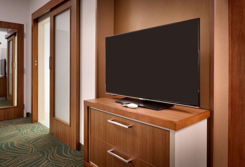חדר סטודיו סטנדרד, Springhill Suites By Marriott Houston I 45 North