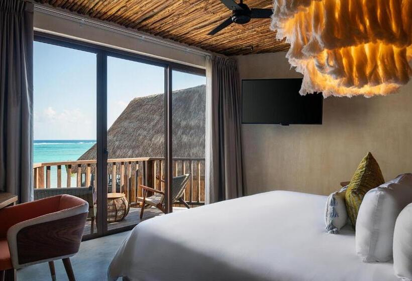 スイート, Nerea Tulum