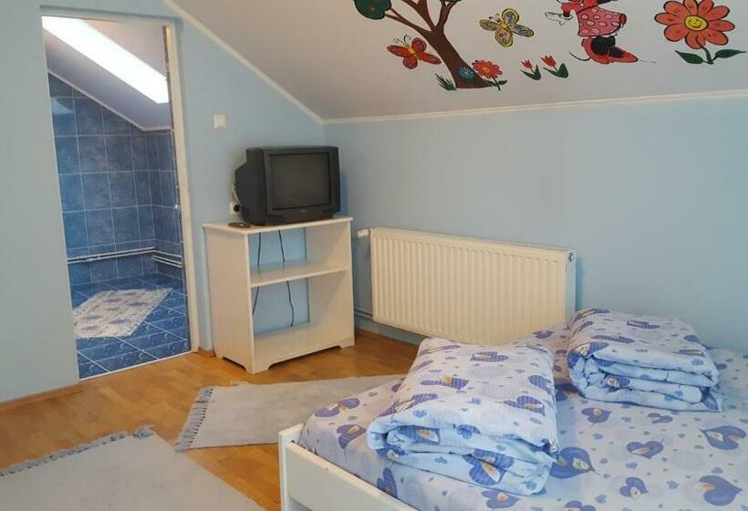 Номер Стандарт, Szandi Panzió