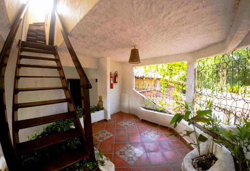 수피리어 룸, Qavi   Villa Di Milos   Praia Da Pipa