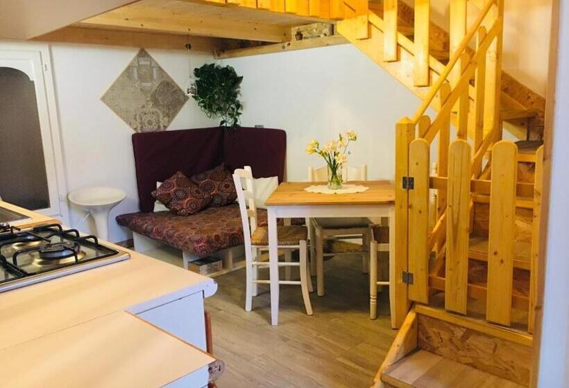 استودیوی استاندارد, B&b Shardana