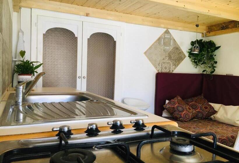 استودیوی استاندارد, B&b Shardana