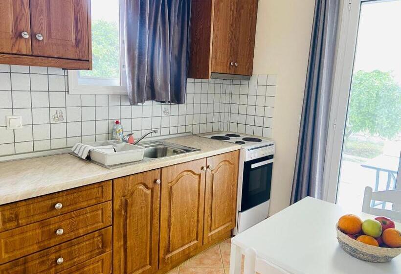 Студия Стандарт, Residence Poseidon
