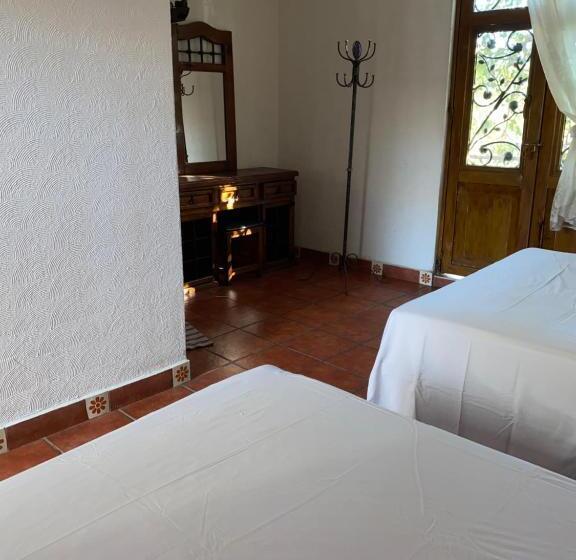 Номер Стандарт, Real Santo Domingo