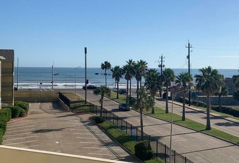 آپارتمان 1 خوابه با چشم‌انداز دریا, Dockside Daze!