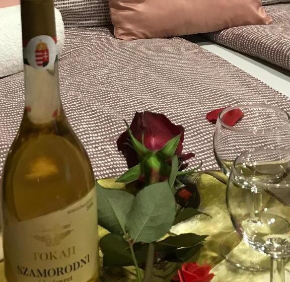 استودیو خانوادگی, Aranyfürt Vendégház