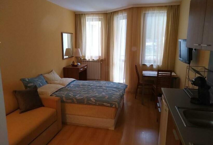 Estudio Estándar con Balcón, Studio Villa Park 207