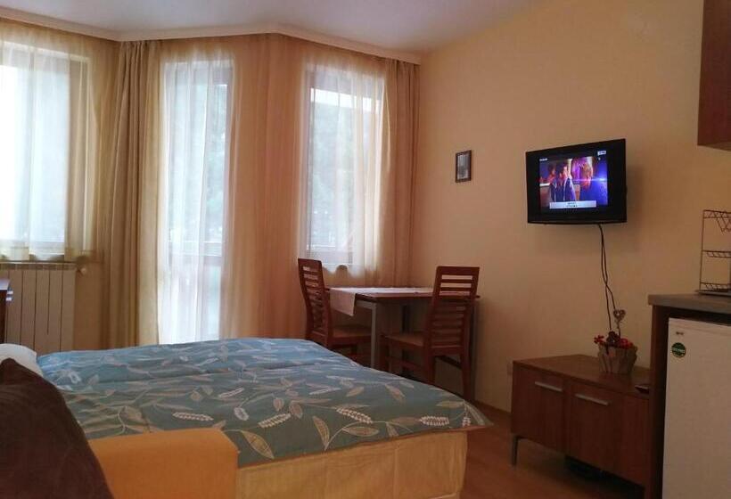 Estudio Estándar con Balcón, Studio Villa Park 207