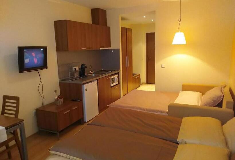 Estudio Estándar con Balcón, Studio Villa Park 207
