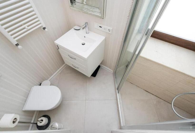 اتاق لوکس با تخت بزرگ, Highline Downtown Aparthotel Oldtown Unirii Square
