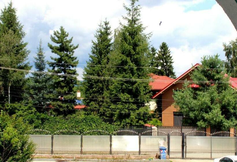 اتاق استاندارد با تخت بزرگ, Anuța