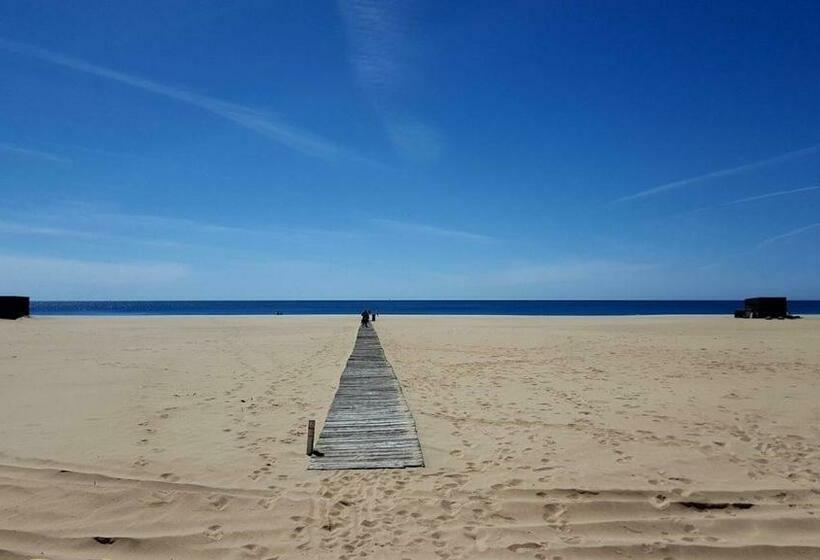 آپارتمان 1 خوابه با چشم‌انداز دریا, Casa Da Praia Para Férias   Vila Pinheiro   Vivenda Johanna
