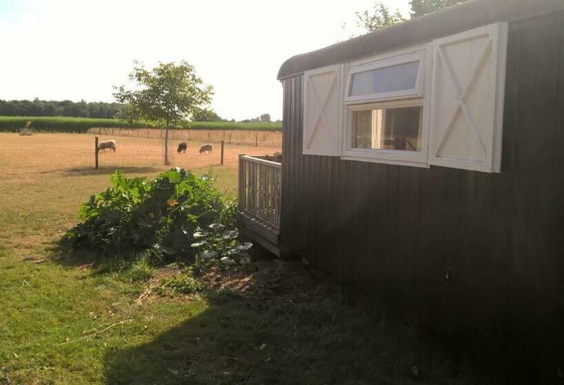 اتاق لوکس با چشم‌انداز باغ, Pipowagen Lidewei Groningen Westerwolde Unieke Ligging Met Eigen Tuin En Vrij Uitzicht Over Veld Naa