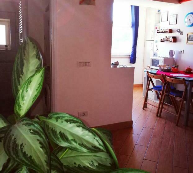 استودیوی سوپریور, B&b Adele