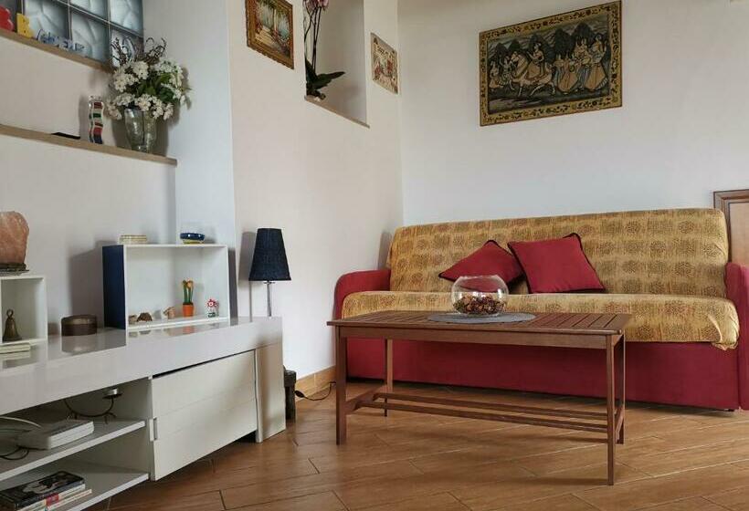 استودیوی سوپریور, B&b Adele