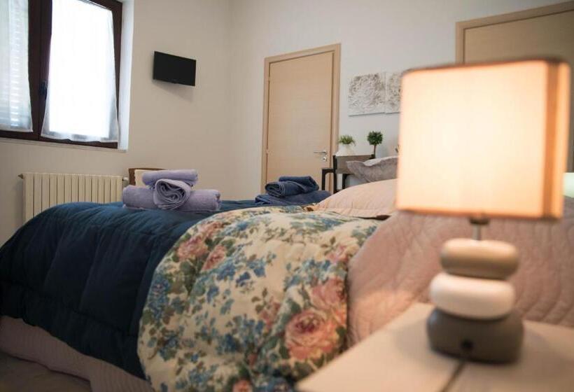 Номер Стандарт, B&b Xenia