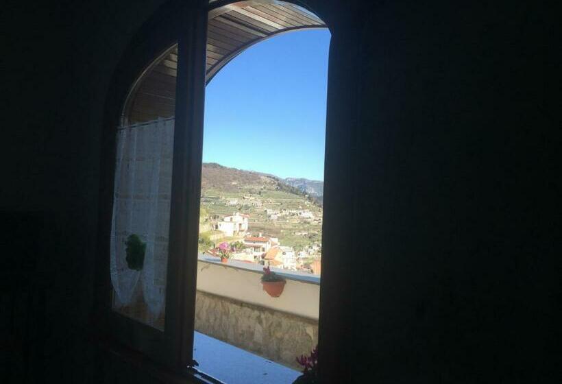 Студия Стандарт, B&b Oliva