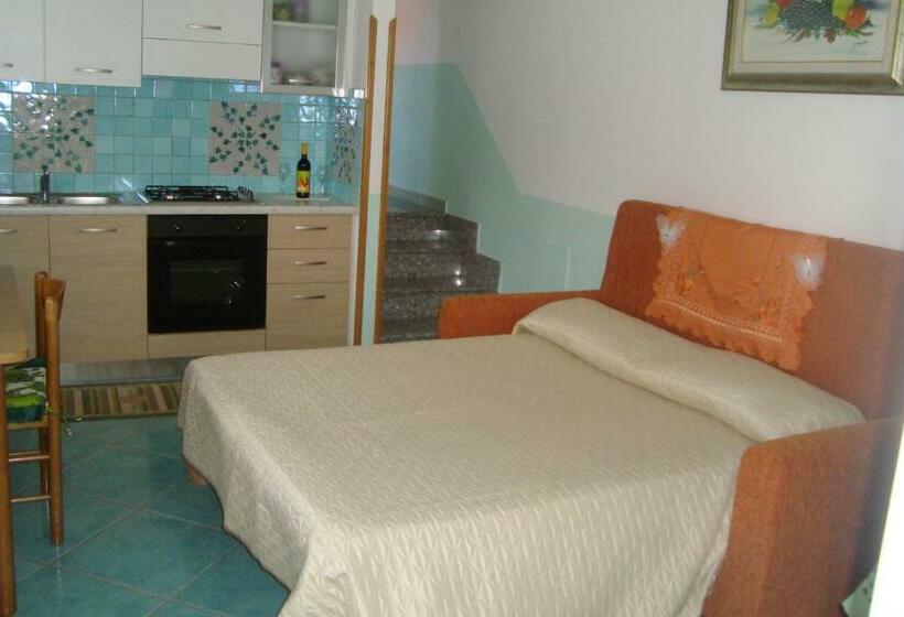 Студия Стандарт, B&b Oliva