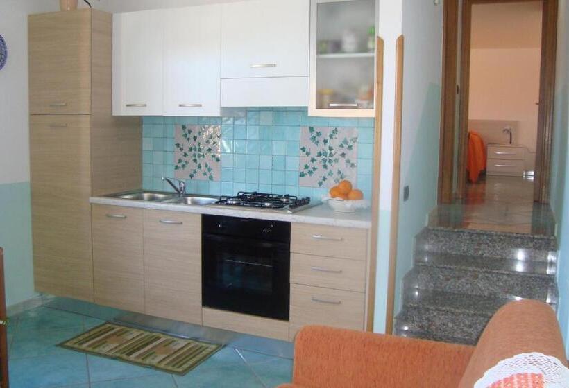 Студия Стандарт, B&b Oliva